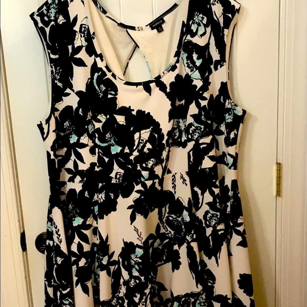 Torrid skater dress